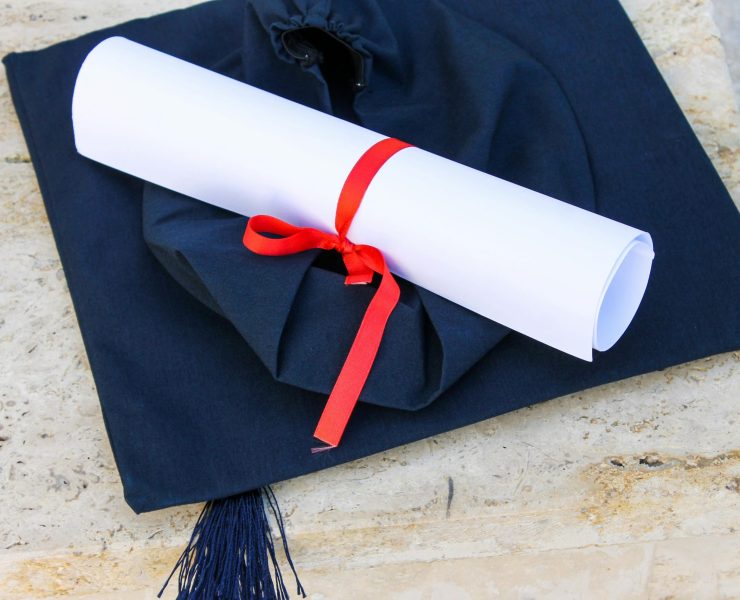 pexels-feyza-tugba-25430275-12794087